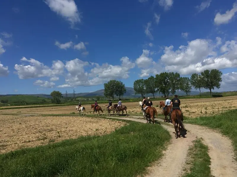 Passeggiata a cavallo sui colli di Monteleone d’Orvieto