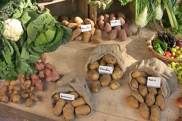 Market Exhibition of Local Typical Products