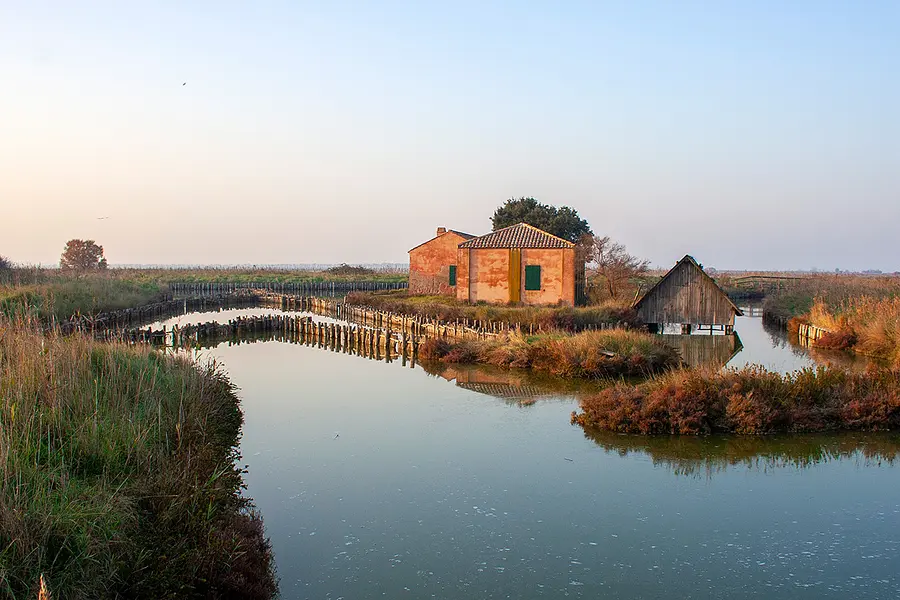 The eel of the Comacchio Valleys
