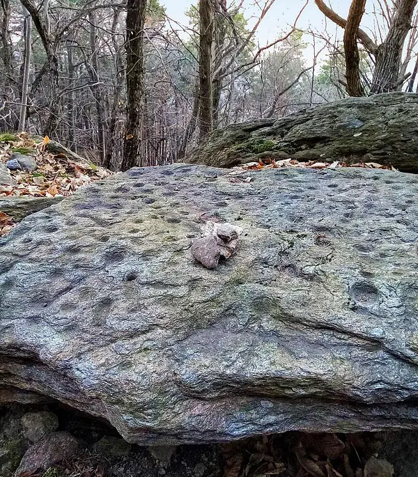 Le rocce coppellate della Valsusa