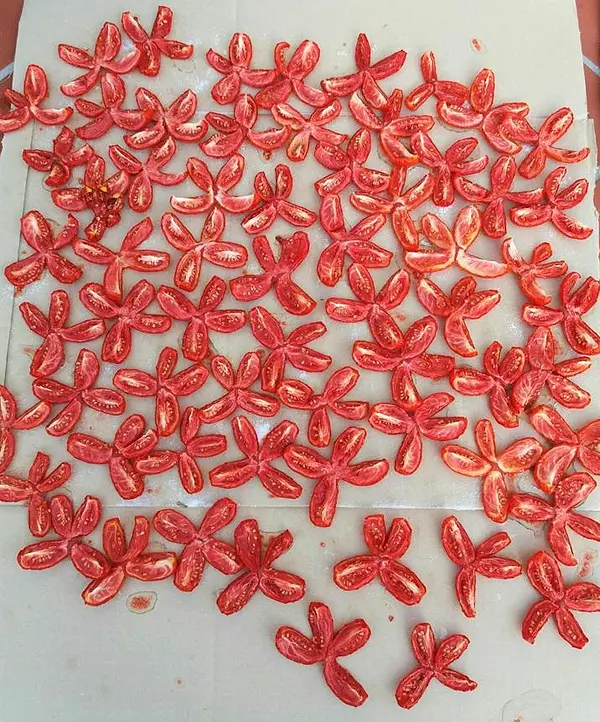 Dried tomatoes from Sicily