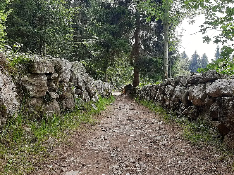 The Excalibur Trail