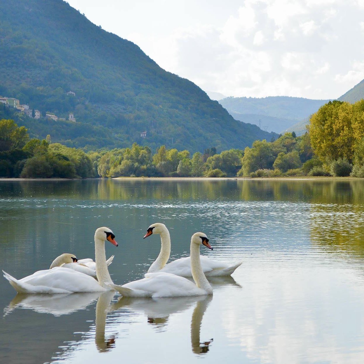 imageVernaccia e ciauscolo, piccoli tesori dei Monti Azzurri...