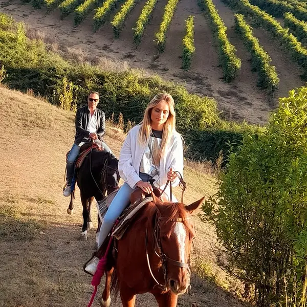 Horseback riding tours in the hills of Chianti