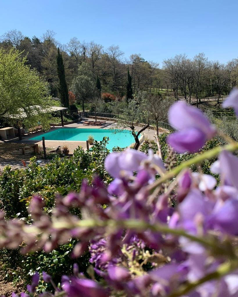 imageA bordo piscina di Villavetrichina: Food e Relax