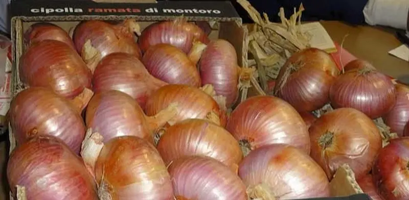 The Ramata Onion of Montoro