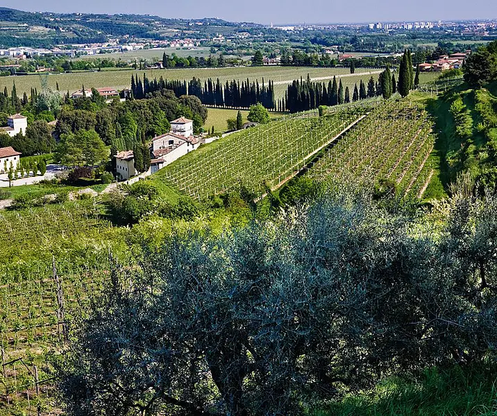Valpolicella from the Adige River to the heart of the Valley by e-bike