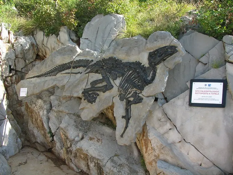 Sito Paleontologico del Villaggio del pescatore