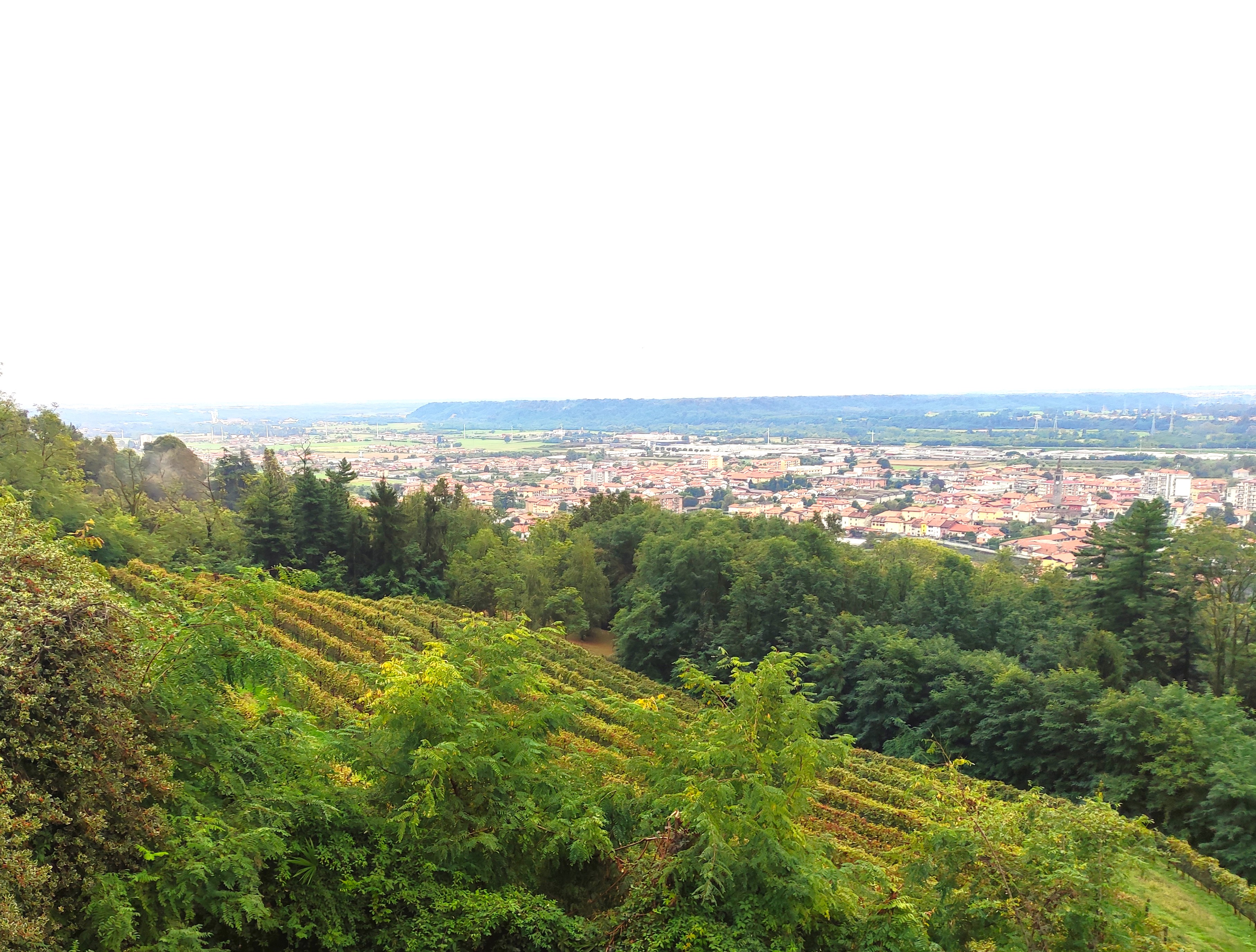 imageCosa vedere vicino a Biella