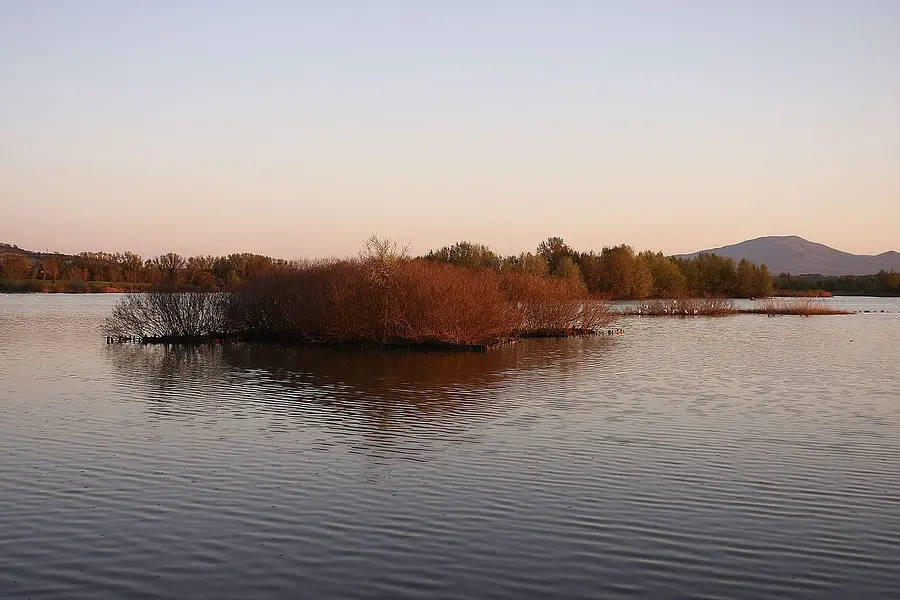 Naturalistic Oasis Lake Alviano