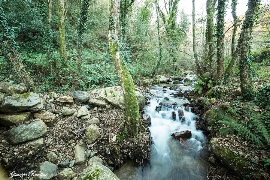 Der Serra-Brunnen, das Wunder des fließenden Wassers