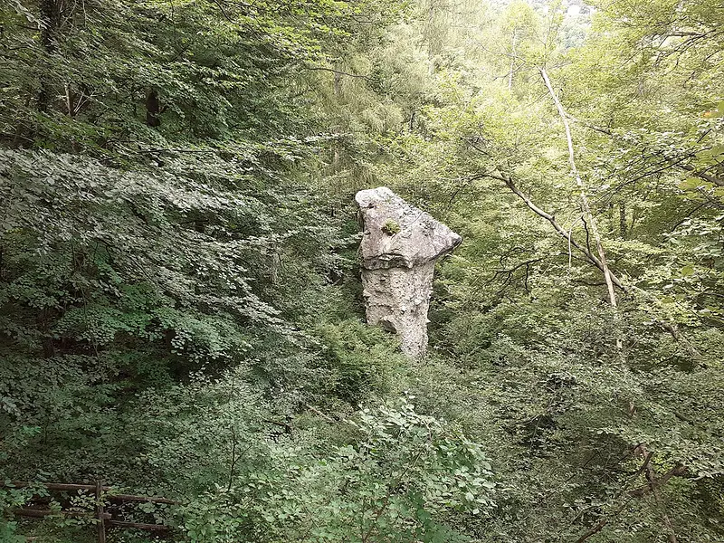 Alla ricerca dei Funghi di Terra