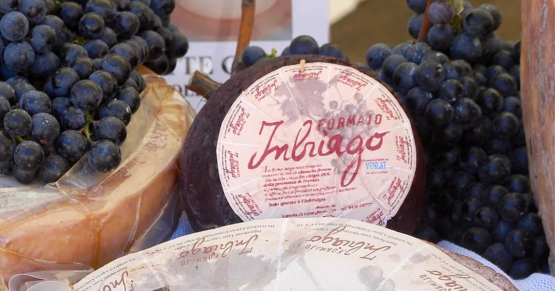 Imbriago cheese, an intoxicating specialty of Treviso