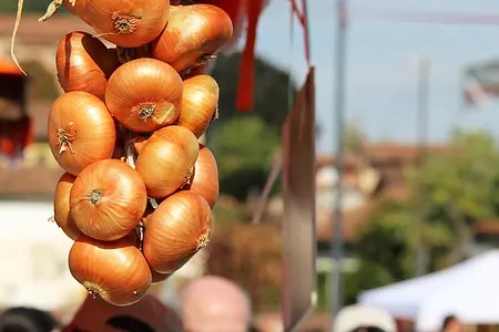 Andezeno onions...stuffed Piedmontese style