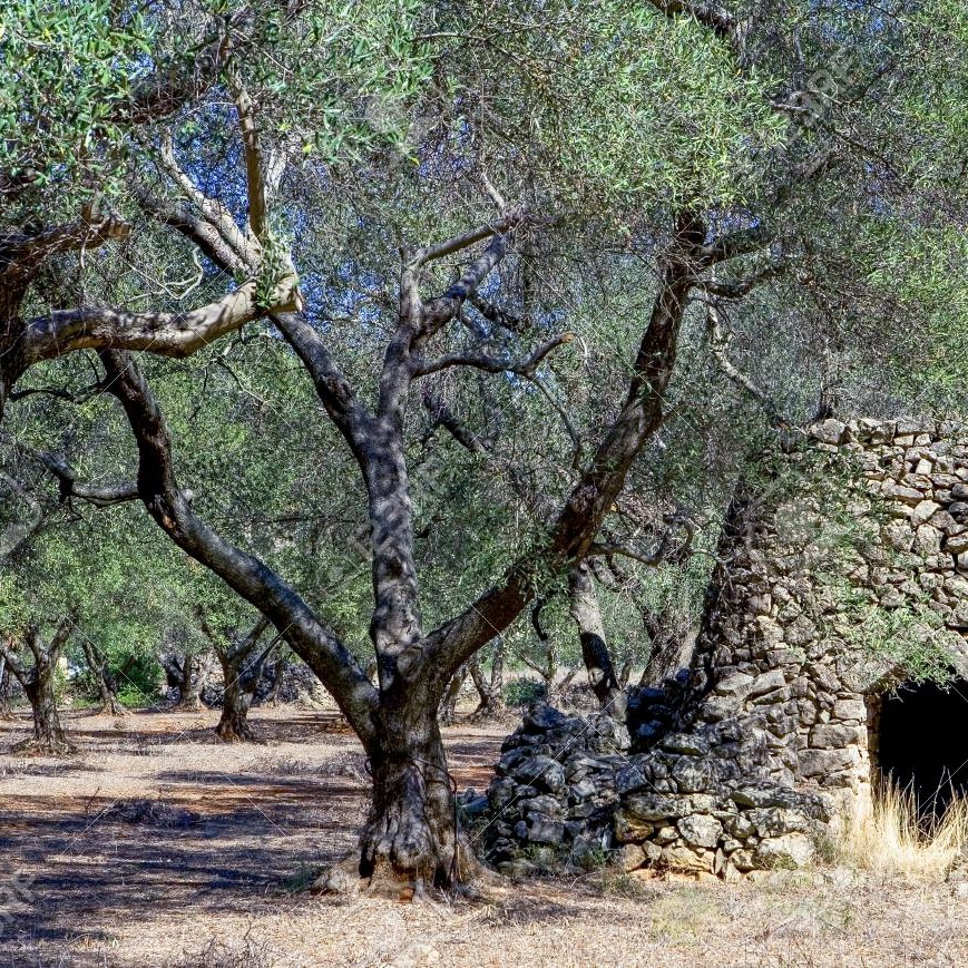 imageDalle Serre Salentine fin quasi al Capo...