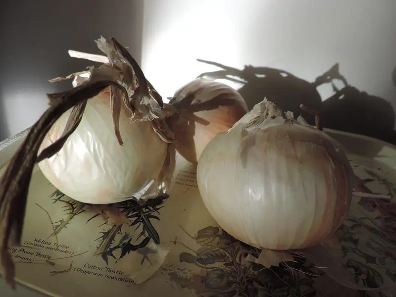 Paglina onion of Castrofilippo: Sicilian sweetness
