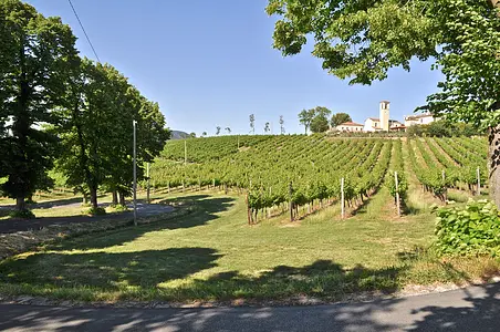Cortelà and the vineyards of Monte Versa