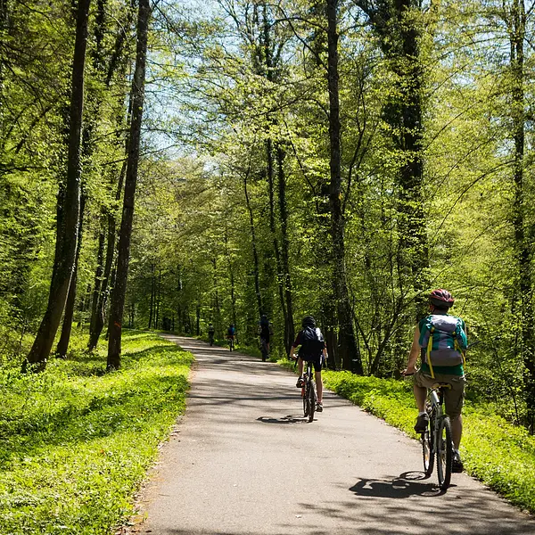 Itinéraire gustatif en vélo électrique dans les terres balsamiques