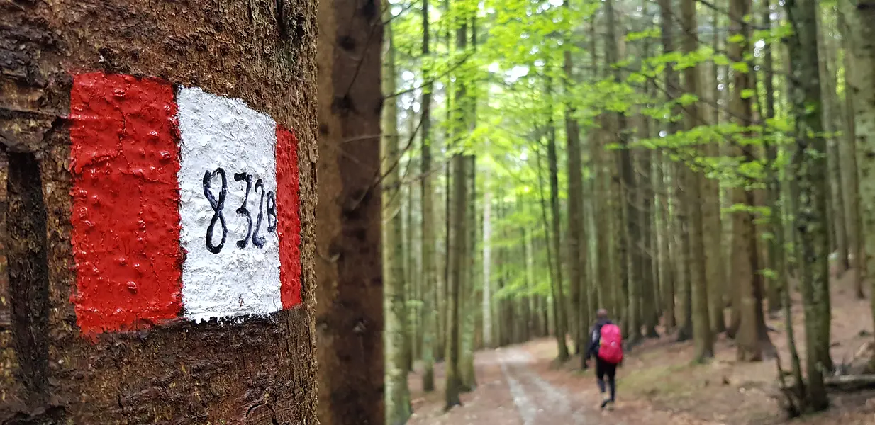 Hike on Mount Zebio: "A Year on the Plateau"