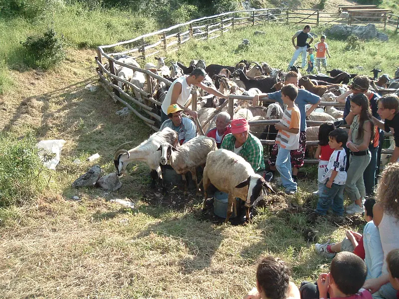 Festa della Pastorizia