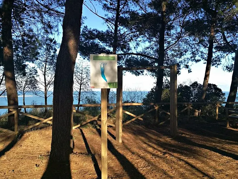 The San Donato Pine Forest: an outdoor gymnasium overlooking the sea
