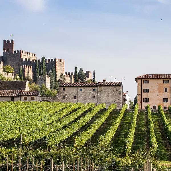 Tasting Tour on the Hills of Treviso and Vicenza