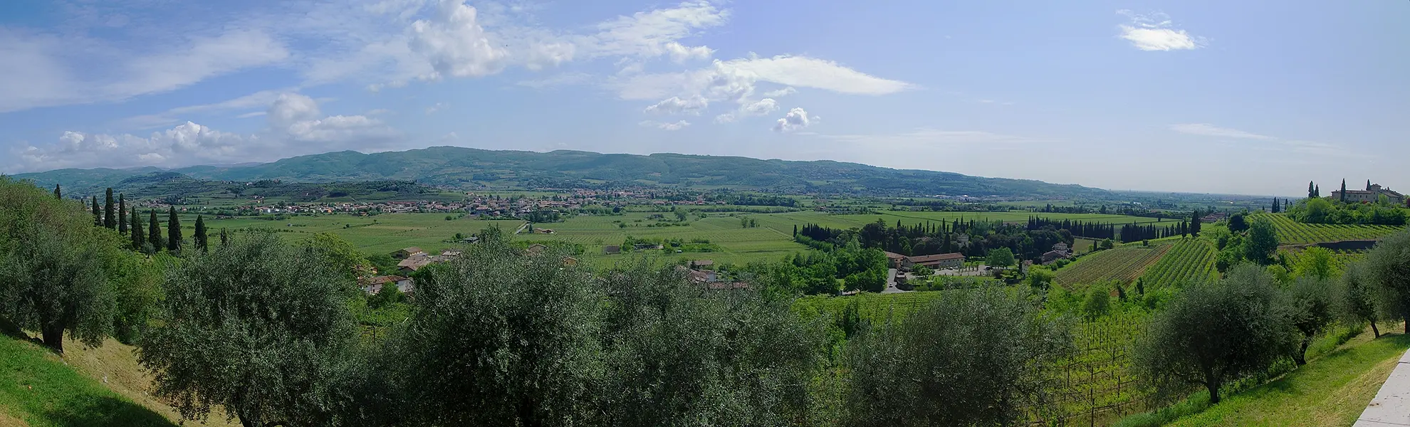 Wine and food tour among the hills of Verona