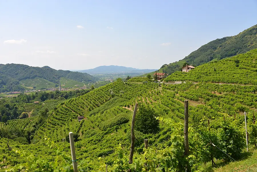 Excursions œnologiques et gastronomiques dans les collines de Prosecco et de Vicenza