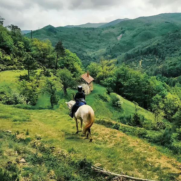 Horses and nature in the Beigua Natural Park